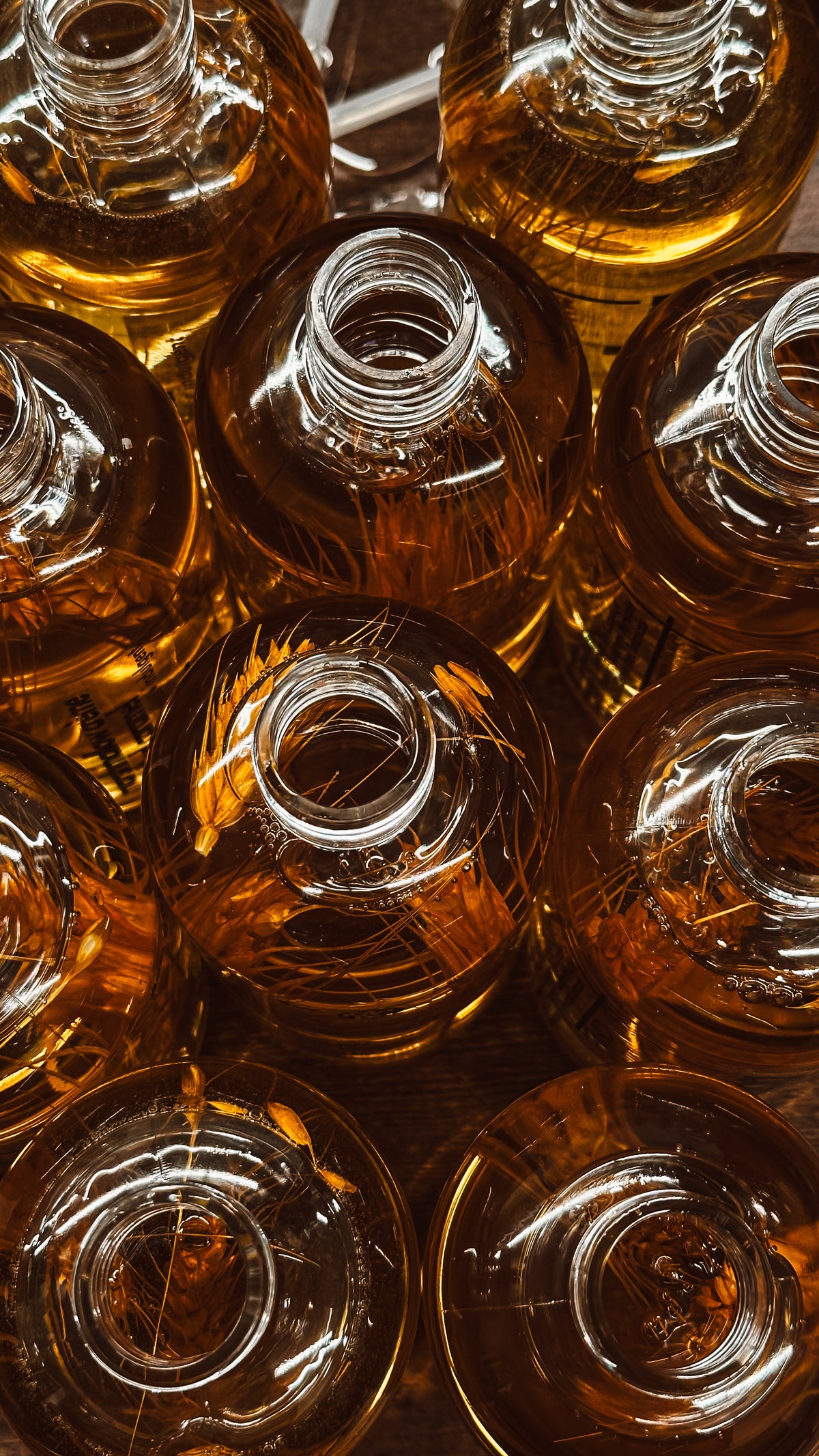 Cinnamon Sugar + Honey Body Oil